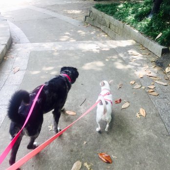 PupWalkr - Skye & Bambi's walk in the park today!! - Dog Walkers Near Me - Atlanta, Georgia PupWalkr - Skye & Bambi's walk in the park today!! - Dog Walkers Near Me - Atlanta, Georgia