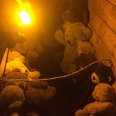 Photo of Forest Room 5 - Denver, CO, United States. Teddy bear room