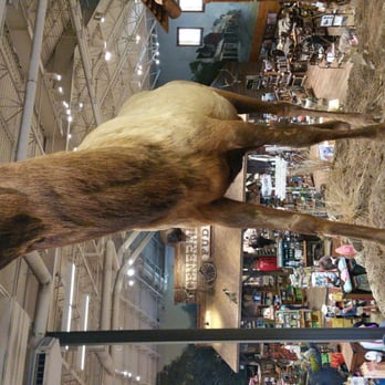 Bass Pro Shops - Very cool - Outdoor Gear Near Me - Manteca, California Bass Pro Shops - Very cool - Outdoor Gear Near Me - Manteca, California