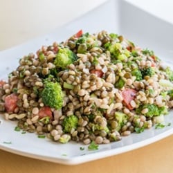 Along Came Carol Catering & The Nook - Organic Lentil Salad