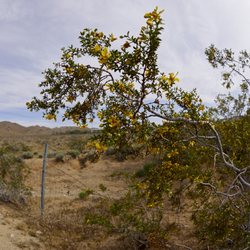 Rademacher Hills Trail - There are multiple trail heads.