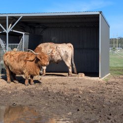 Oakvale Wildlife Park