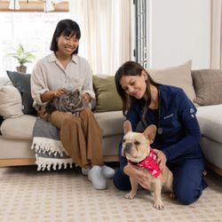 BetterVet Denver, Mobile Vet Services