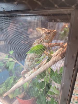 @the Grounds by null