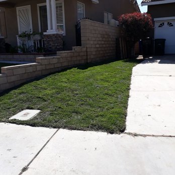 Elite Sod - Lawn Services Near Me