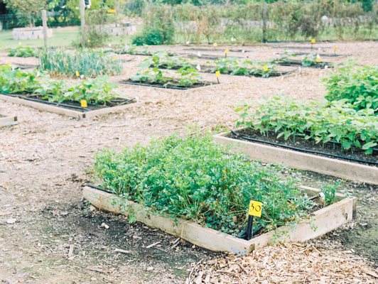 Blackwood Educational Land Institute by null