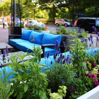 Cityscapes - Seasonal exterior landscapes for containers and gardens - Indoor Landscaping Near Me - Boston, Massachusetts Cityscapes - Seasonal exterior landscapes for containers and gardens - Indoor Landscaping Near Me - Boston, Massachusetts