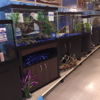 PetSmart - Pet Training Near Me - Meridian, Idaho