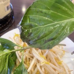 Lotus Cafe - Clearly fresh