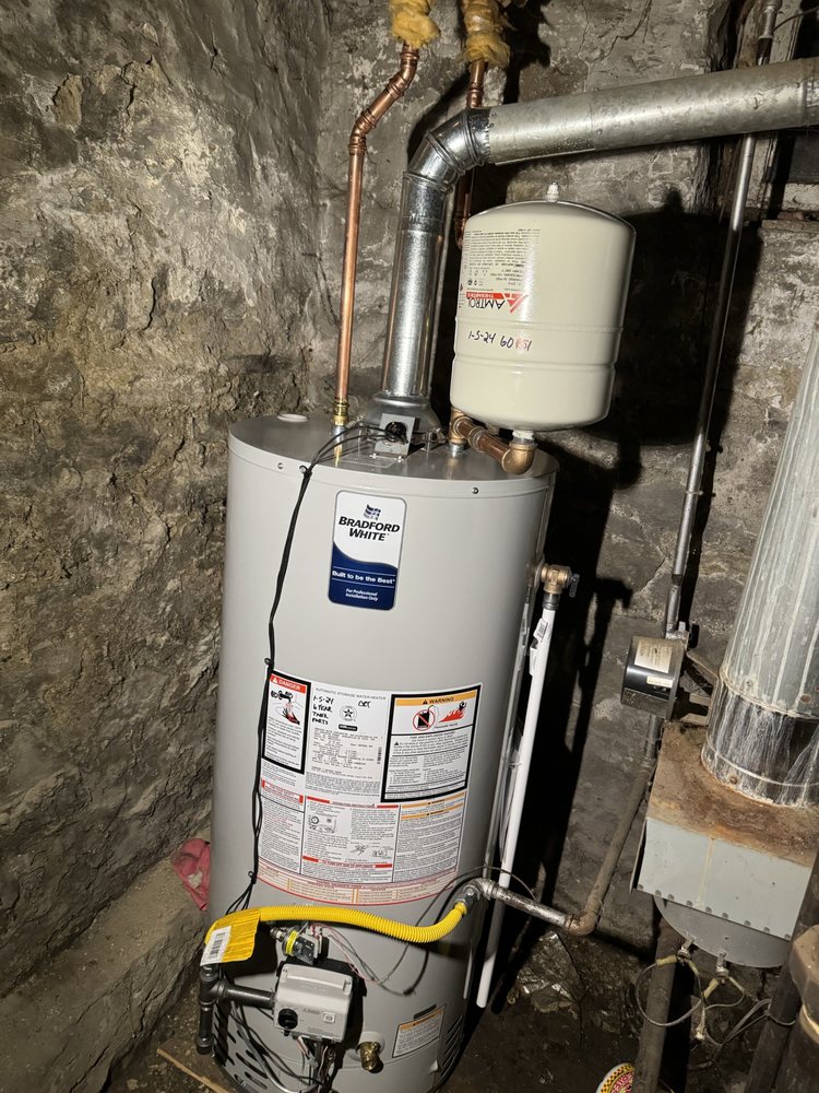 Slide of American Rooter