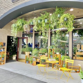 Lost Books - Vinyl Records Near Me - Montrose, California