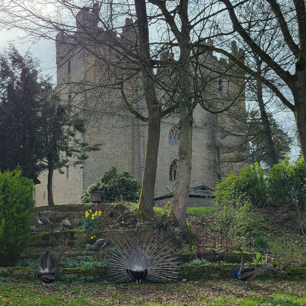 Langley Castle Hotel - Specialty Food Near Me Langley Castle Hotel - Specialty Food Near Me