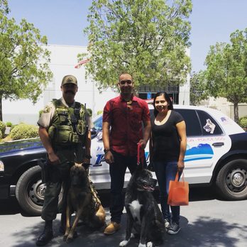 Dogtopia - Pet Boarding Near Me - Temecula, California