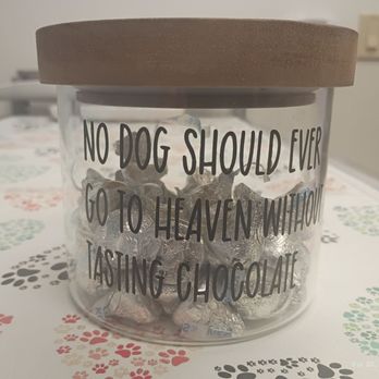 Buena Vet - Chocolate for dogs - Veterinarians Near Me - Ventura, California Buena Vet - Chocolate for dogs - Veterinarians Near Me - Ventura, California