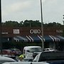 Photo of Cato