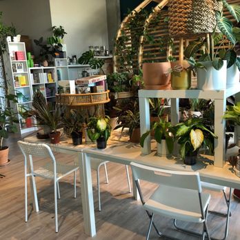 Haji Healing Salon - Acupuncture Near Me - Chicago, Illinois