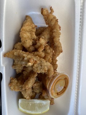 Conch Town USA by null