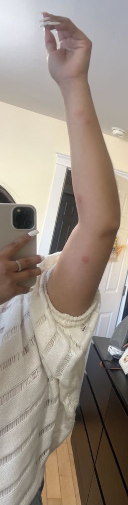 Vagabond Inn - Sylmar