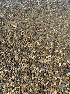 Banff National Park by null