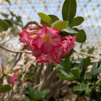 Biosphere 2 - Museums Near Me - Oracle, Arizona