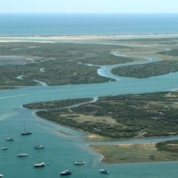 Formosamar - Boat tours and ecotourism activities in Ria Formosa, Algarve