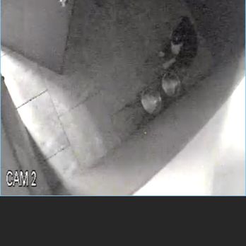 Southeast Georgia Veterinary Clinic - Escaping. - Veterinarians Near Me - Brunswick, Georgia