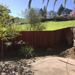 Garden - AFTER - Weeds gone