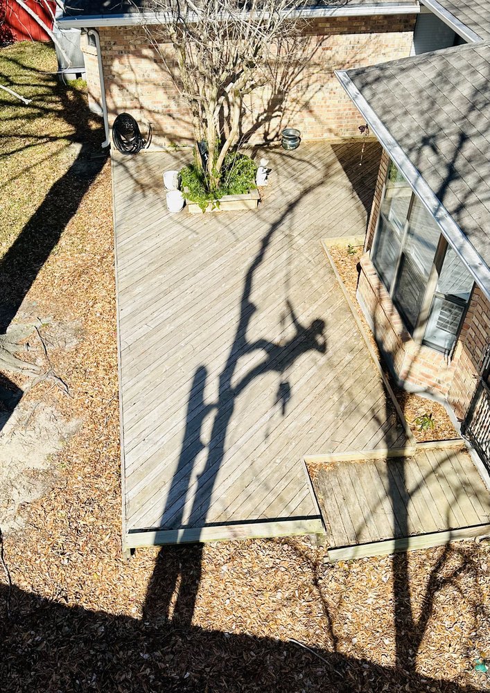 Mudge Tree Service - tree service in Gretna, LA