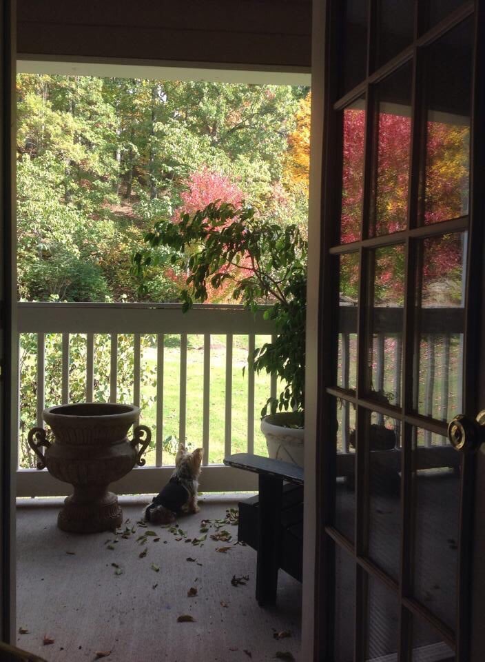 MONTVIEW CONDOS Updated August 2024 6820 Hwy 70 S, Nashville, Tennessee Condominiums Yelp