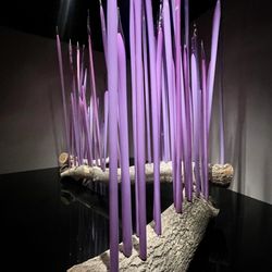 Oklahoma City Museum of Art - Chihuly exhibit