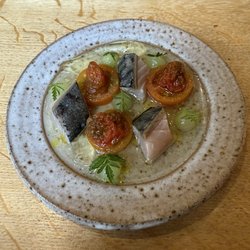 Roots York - Mackerel