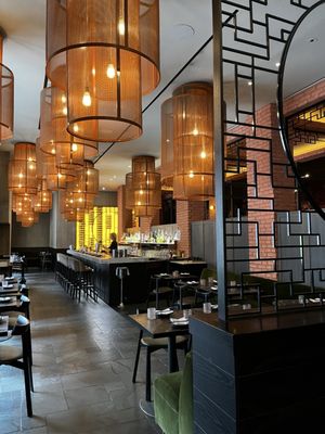 PLANTA Queen by null