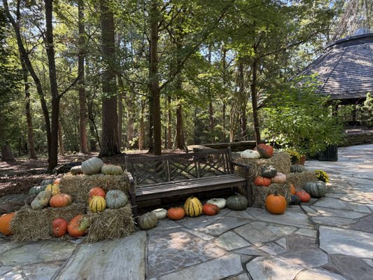 Garvan Woodland Gardens by null