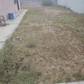 Lopez Landscaping and Gardening - Before - Gardeners Near Me