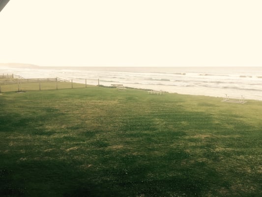 Beef and Beach Lennox Head by null