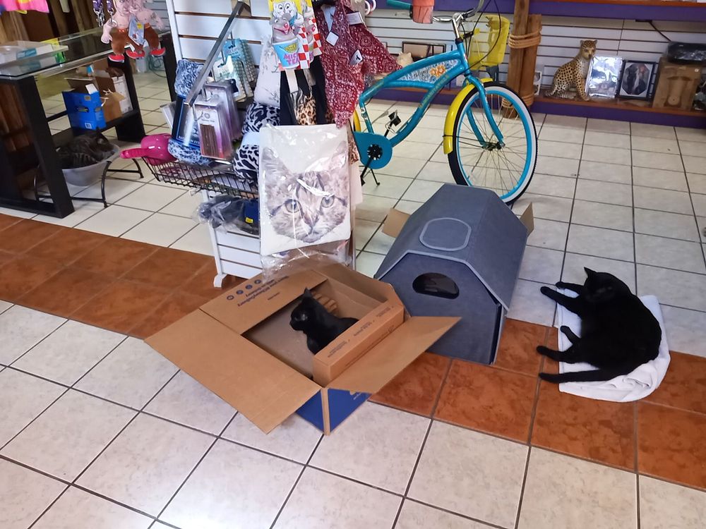 Carols Cat House Image