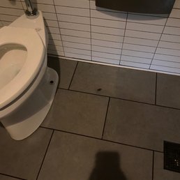 Roach in the bathroom!!! Roach in the bathroom!!!
