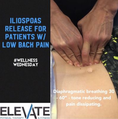 Elevate Physical Therapy & Fitness by null