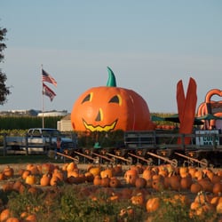 Helen's Greenhouse - Taken October 25, 2014.