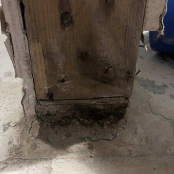Real Property - Move in pictures and current picture. Yes that's a snake on my first night. - Property Management Near Me - Charlottesville, Virginia