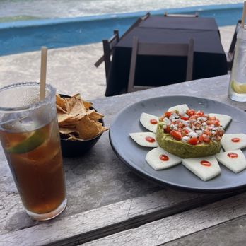 Tiny Gecko - Guacamole - Bars Near Me - Isla Mujeres, ROO Tiny Gecko - Guacamole - Bars Near Me - Isla Mujeres, ROO