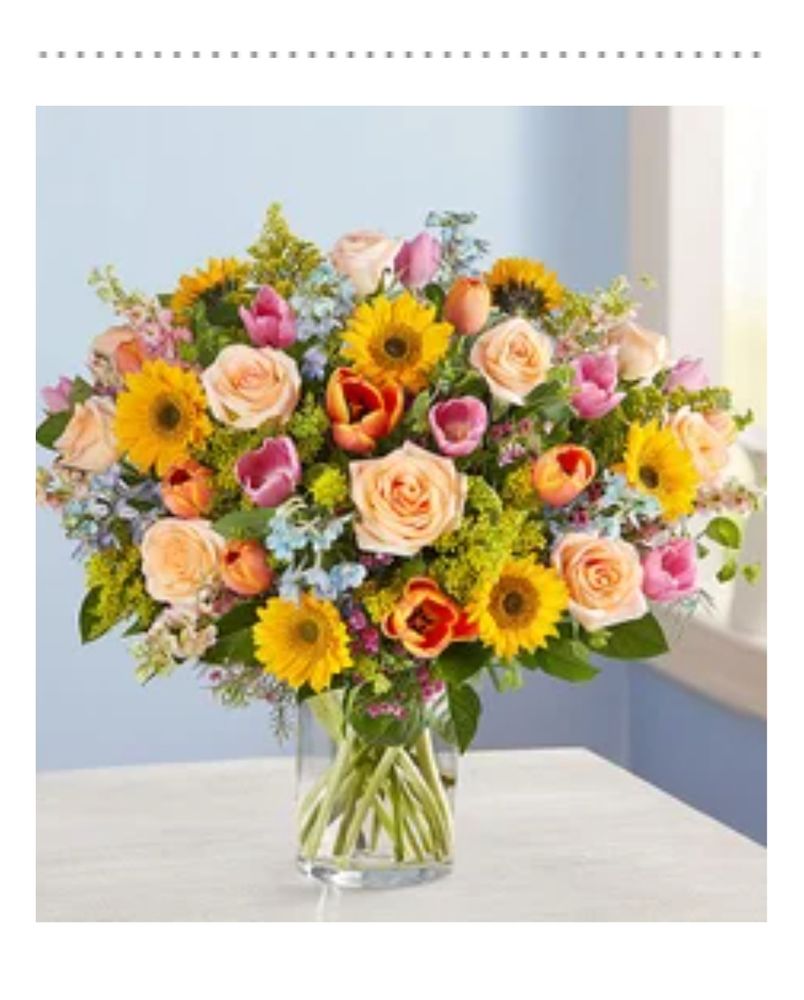 AMOUR FLORIST Updated September 2024 15 Photos 881 Main St