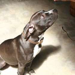 Reunion Rescue