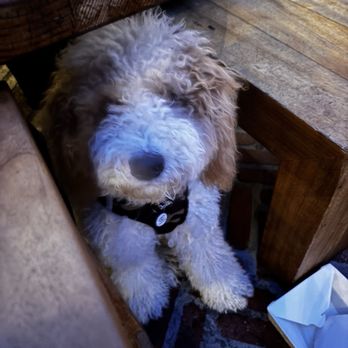 Laurel Hardware - Teddy - New American Near Me - West Hollywood, California