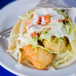 Outside Agitator Coffees LLC. - Battered Fish Taco