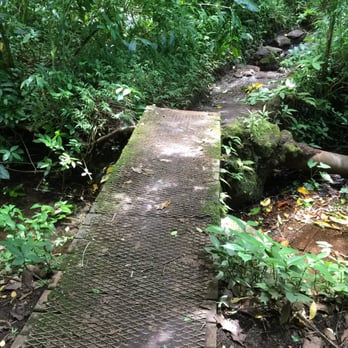 Makiki Valley Trail - Hiking Near Me - Honolulu, Hawaii Makiki Valley Trail - Hiking Near Me - Honolulu, Hawaii