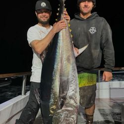Turner’s Outdoorsman - 230# Blue fin tuna