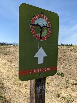 Napa Valley Vine Trail by null