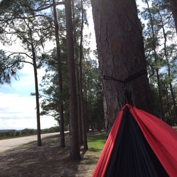 Moss Park - Parks Near Me - Orlando, Florida