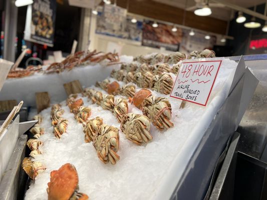 Pure Food Fish Market by null